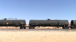 WB Manifest Frt at Erie NV -68